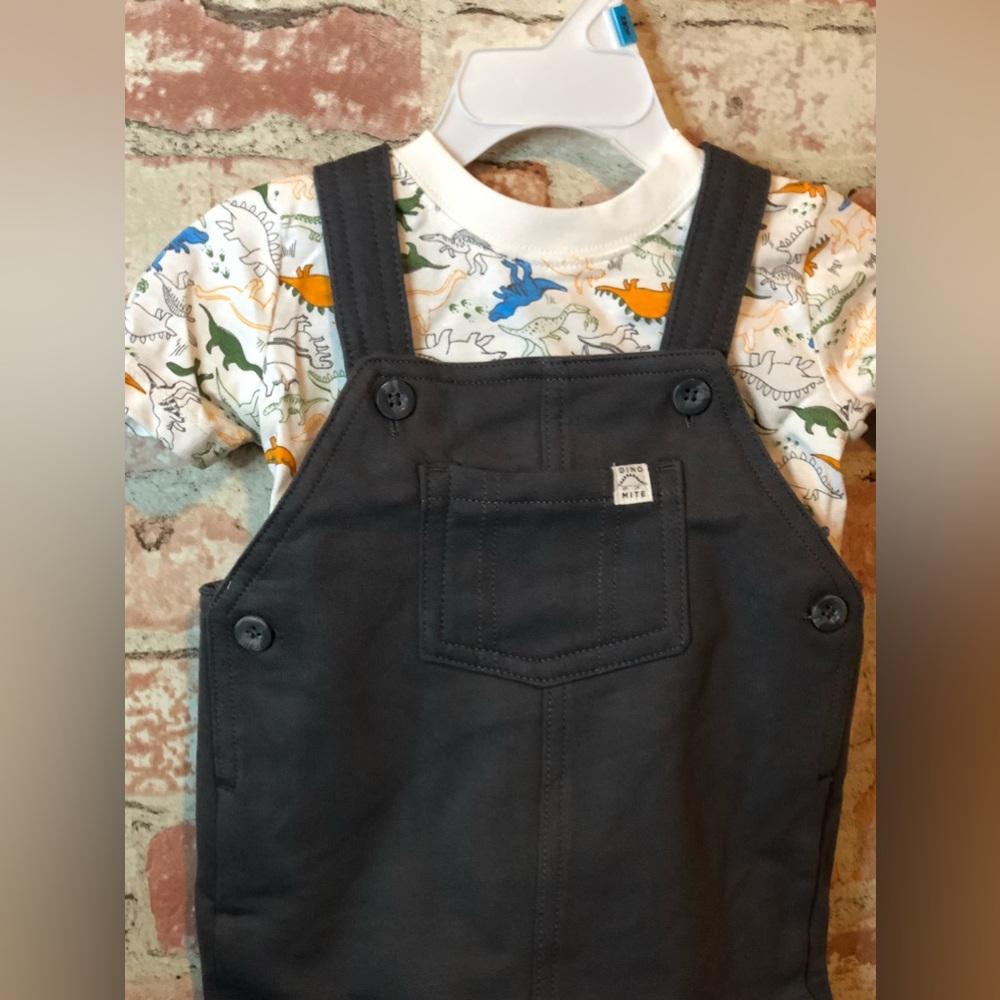 Carter's Baby Boys 2-Piece Dinosaur Tee & French Terry Shortall Set - 18 mo